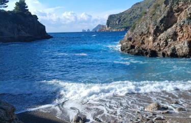 Rosa House - Photo 53