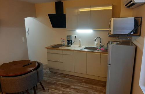 3 Apt T2 COSY de 40 à 50 M2 Idéal pour un déplacement PRO " Les IRIS " - Foto 33