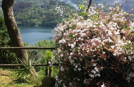 Casa da Terra - Gerês - Foto 21