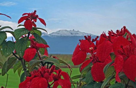 Ocean view Mauna Loa Shores Kai Ekahi #201 next to Carlsmith Beach Park Hilo HI - Foto 41