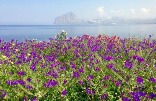 DX Appartamento Fiori d arancio - Foto 32