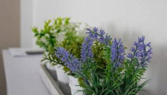 Ferienhaus Toni im Stadtkern von Bremervörde - Foto 5