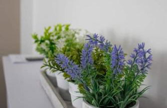 Ferienhaus Toni im Stadtkern von Bremervörde - Foto 5