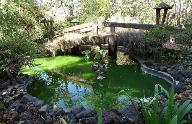 LSQ RJ Farms - Foto 14