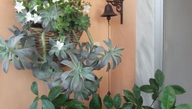 LUXURIOUS APPARTMENTS KATERINA - Foto 3