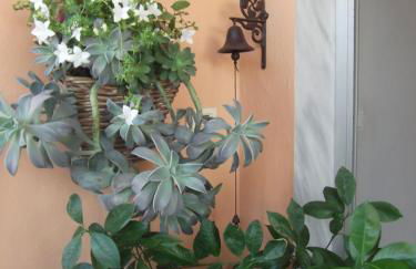 LUXURIOUS APPARTMENTS KATERINA - Foto 3