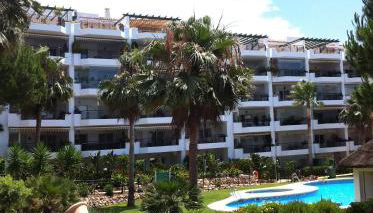 Mi Capricho - Photo 5