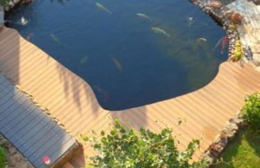 Ferienwohnung Uschkereit - Foto 27