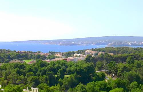 Villa Spa Cas Catala - Foto 12