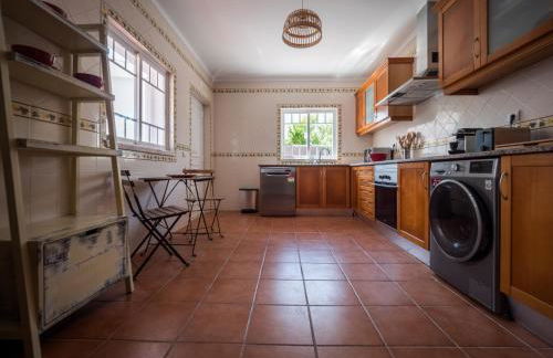 Romã do Meco - Foto 17