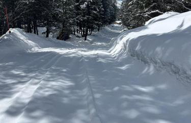 TandAA Cabin- cozy up in the Aspens on the Fairway - Foto 15