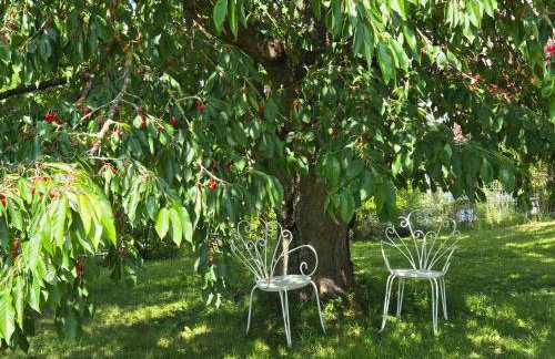 Exklusive Ferienwohnung Bad Salzschlirf - direkt am Waldrand - großer Garten kompett umzäunt - Hunde willkommen - 2 private Stellplätze - Foto 33