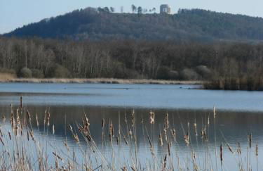 Dans un jardin - Foto 14