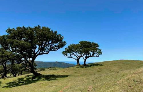 Palheiro do Farrobo - Foto 28