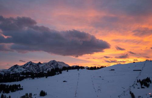Les Saisies appart 1 chambre au pied des pistes - Foto 19