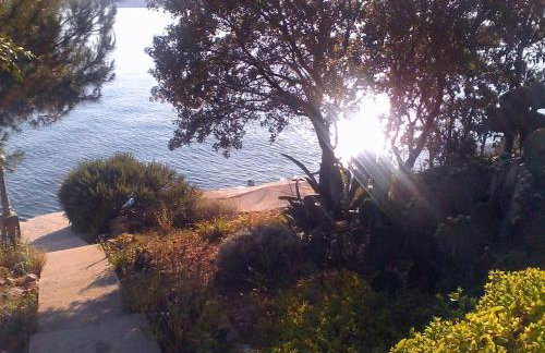 Villa Franko - Photo 38