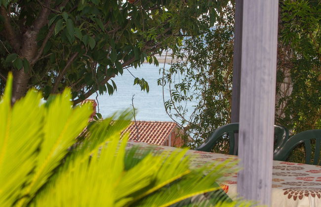 Apartments Kolenc - Foto 35