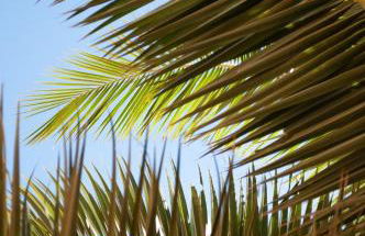 Casa Rasclo - Foto 31