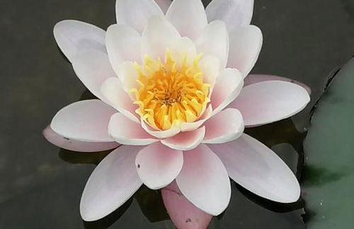 Apartment Curly - Foto 22