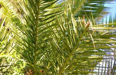 Casa Diana: Vista al mar y 3min a la playa y 30min a PortAventura - Foto 26