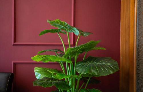 Velvet House 26 - City Center by InnStay - Foto 15