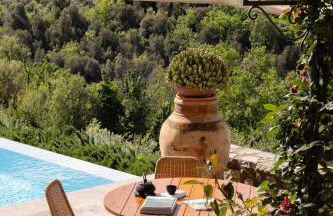 Cipressini - Foto 79