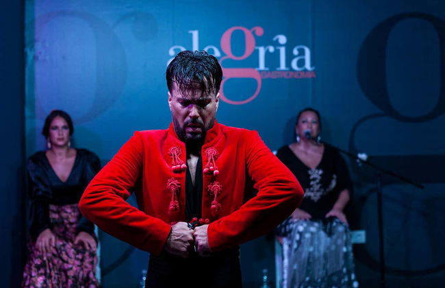 Espetáculo de flamenco no Alegría - Foto 6