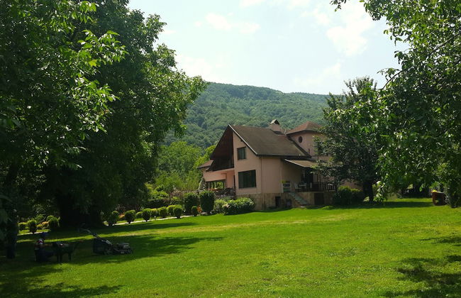 Villa Kirkpinar Sapanca - Foto 62