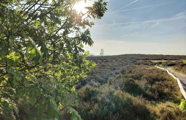 Holiday Home in Haarle Near Sallandse Heuvelrug - Foto 27