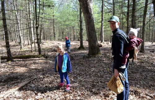 Eco-Friendly, Abstract Treehouse Surrounded by Wildlife and Hiking Trails For a Special Getaway in Sparrow Bush, New York - Foto 12