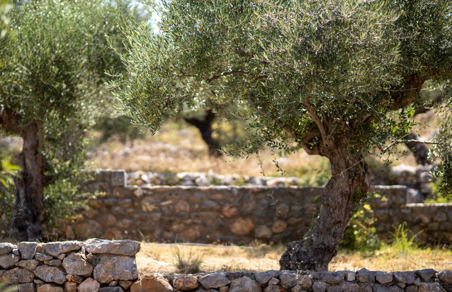 Searocks Exclusive Village - Photo 20