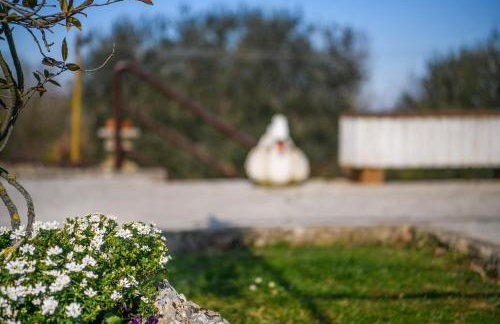 Apartman Noli - Photo 43