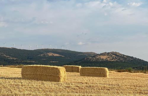 Casa La Colmena Ávila - Foto 26
