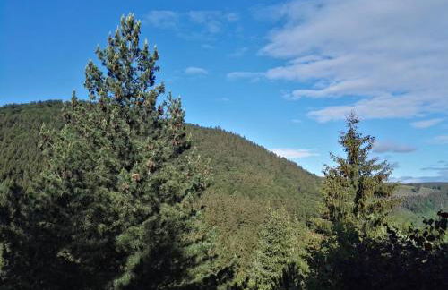 Ferienwohnung Waldblick Winterberg - Foto 10