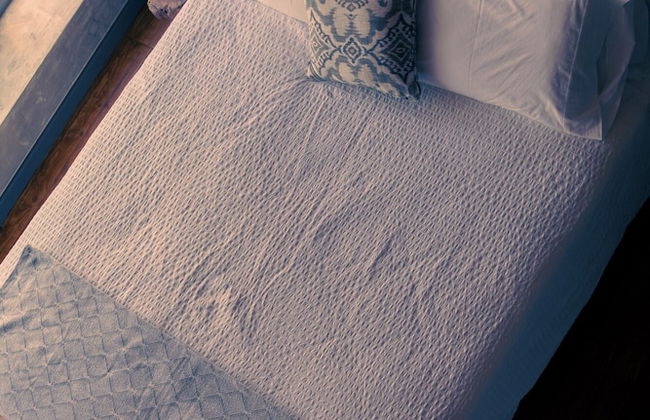 Quinta Camarena - Foto 31