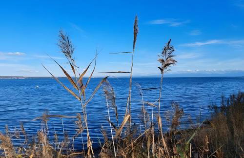Am Rathaus 1 - Foto 24