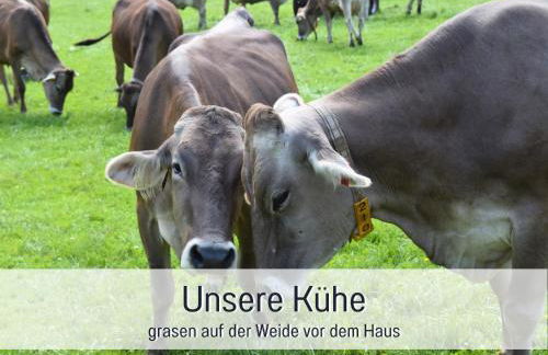 Bauernhof Finkel - Ferienwohnungen mit Balkon - Bergsicht - Traktor mitfahren - Tiere streicheln - entspannter Familienurlaub - zentrale Lage nahe Oberstdorf - Photo 35