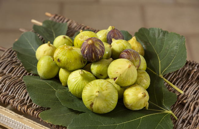 Podere40 Country Hotel - Foto 70