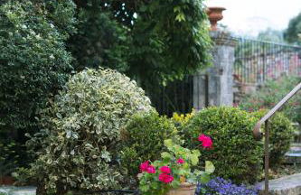 Domaine de la barbeirasse - Foto 49