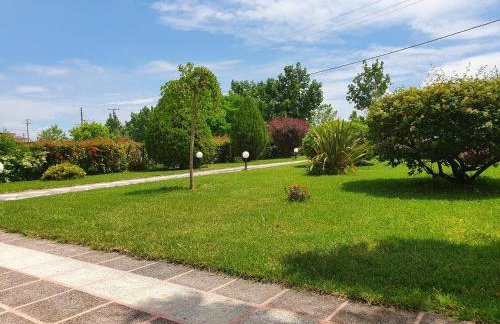 Calypso Beach Hotel - Foto 51