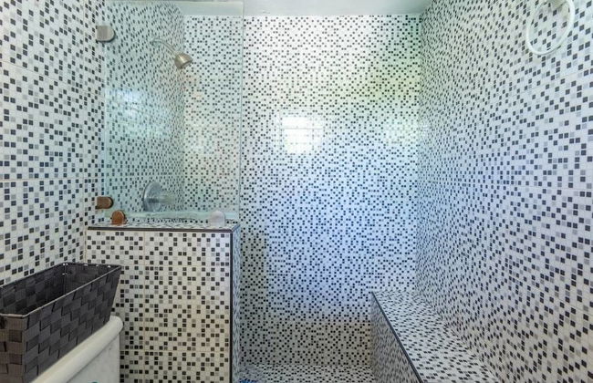 Boutique Vedado Villa - Photo 74