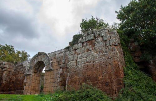 Belvedere Home - Foto 66