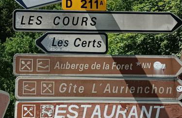 auris en oisans, vue sur le massif des ecrins - Foto 20