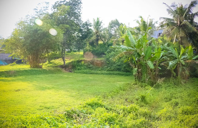 Horahena Farm Stay - Foto 23