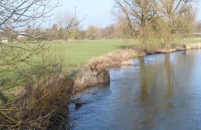 Family Villa Near Forest - Foto 22