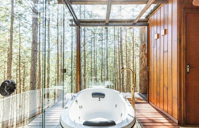 Recanto das Águas - Anitápolis - SC - Photo 40