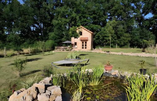 Au chant des oiseaux - rouge gorge - Foto 18