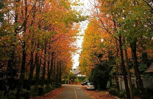 Apartamento Família Sirangelo - Foto 4