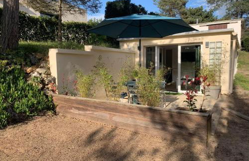 Dune et Terrasse - Photo 27