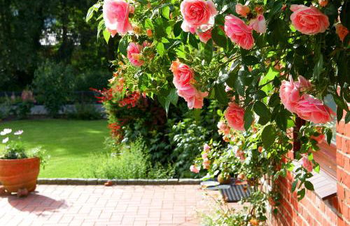 Ferienwohnung Ankerplatz - Photo 21